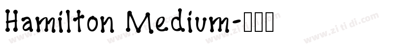 Hamilton Medium字体转换